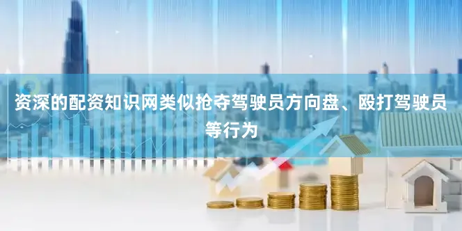 资深的配资知识网类似抢夺驾驶员方向盘、殴打驾驶员等行为