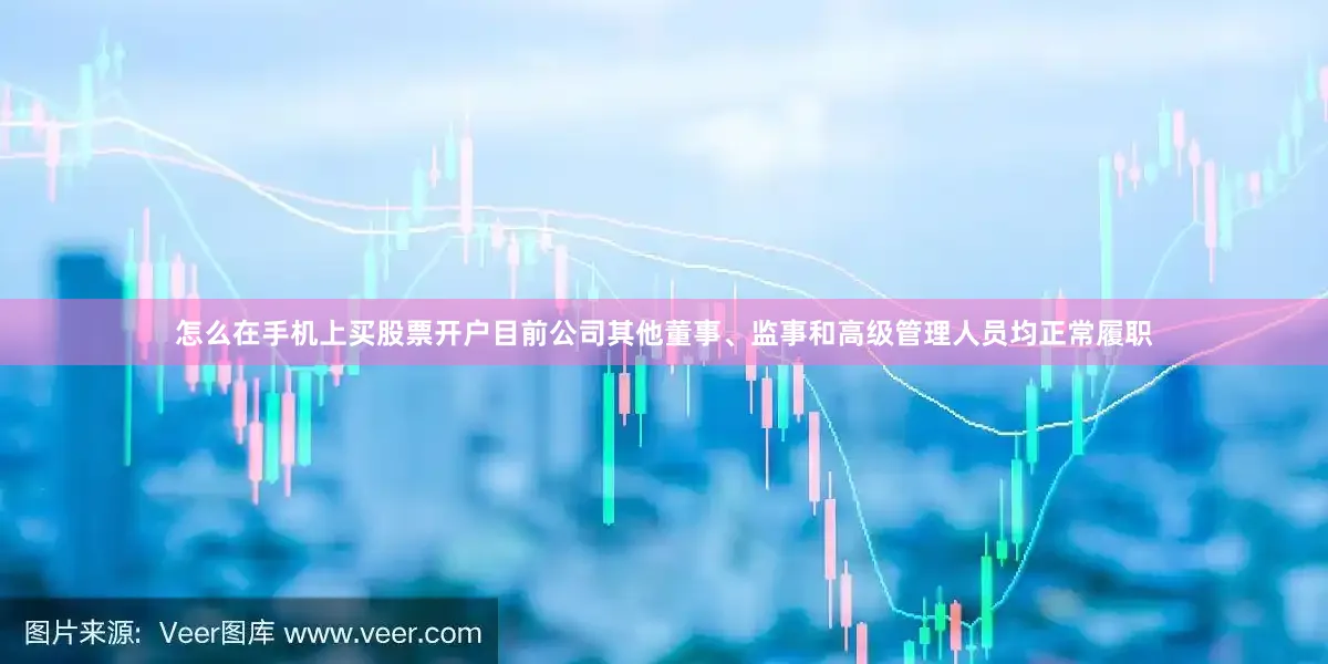 怎么在手机上买股票开户目前公司其他董事、监事和高级管理人员均正常履职