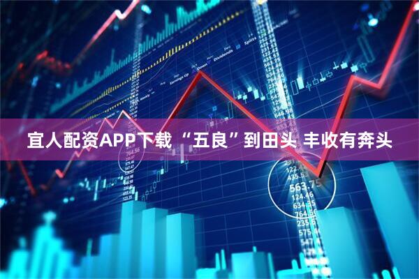 宜人配资APP下载 “五良”到田头 丰收有奔头
