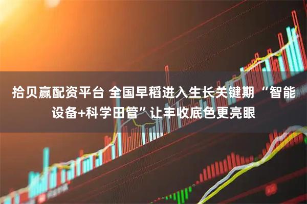拾贝赢配资平台 全国早稻进入生长关键期 “智能设备+科学田管”让丰收底色更亮眼